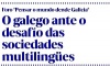 O galego ante o desafo das sociedades multilinges